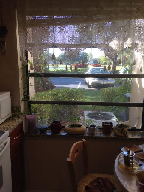 Building Photo - 8425 Casa Del Lago