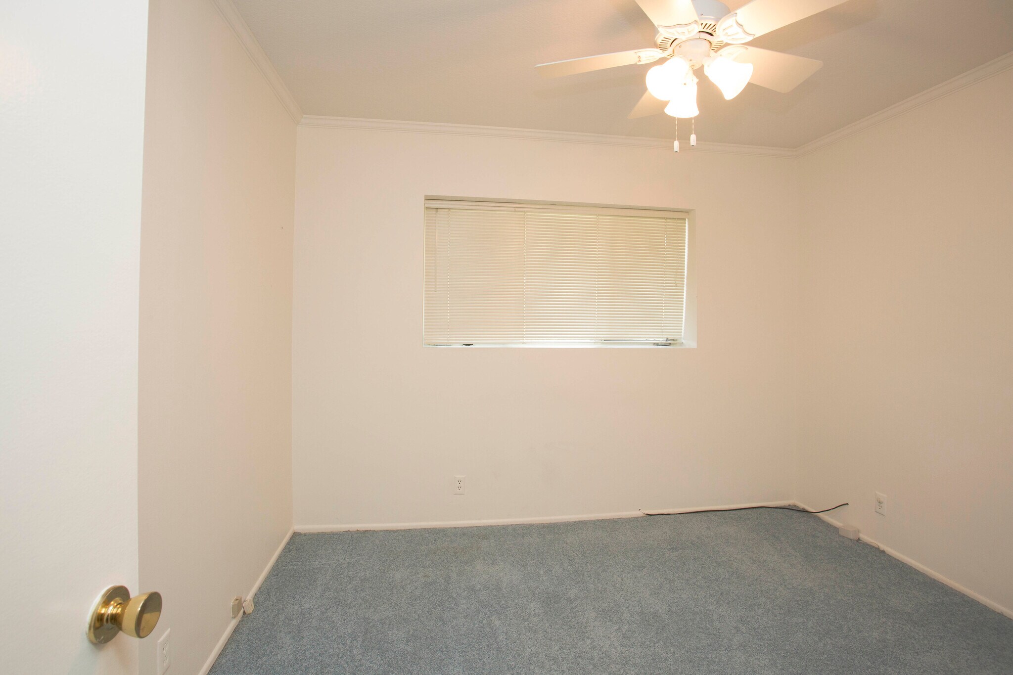 Bed 1 - 5057 Shirley Ave