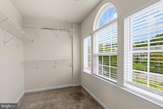 Building Photo - 40463 Aldie Springs Dr