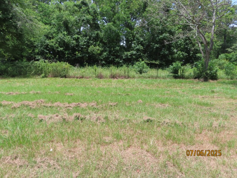 Building Photo - 217 Co Rd 438