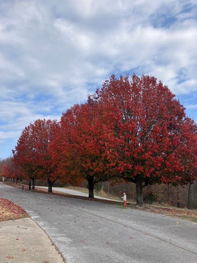 Building Photo - 8675 Golf Creek Dr