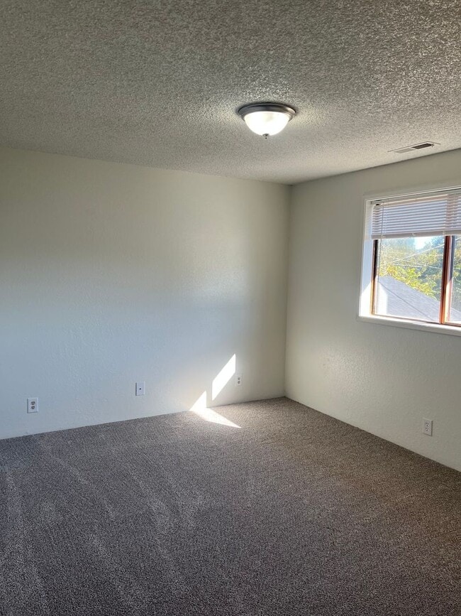 Building Photo - 511-513 Plum St