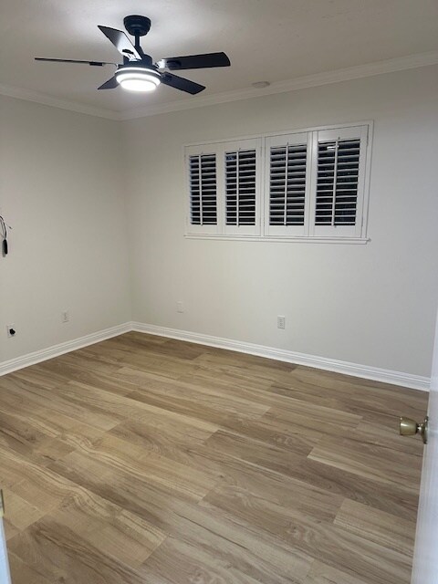 Bedroom 1 Downstairs - 11344 Baird Ave