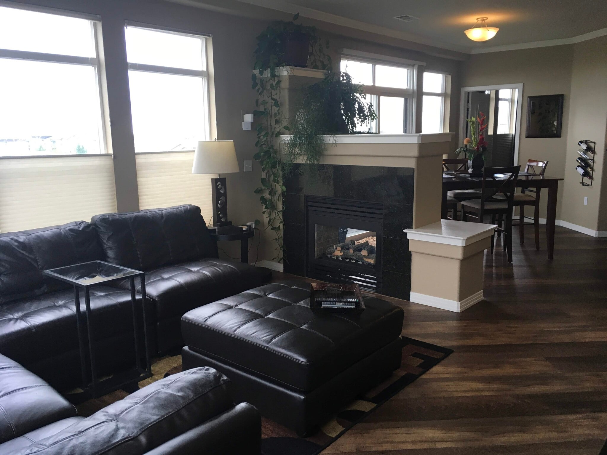 Double sided gas fireplace - 10176 Park Meadows Dr