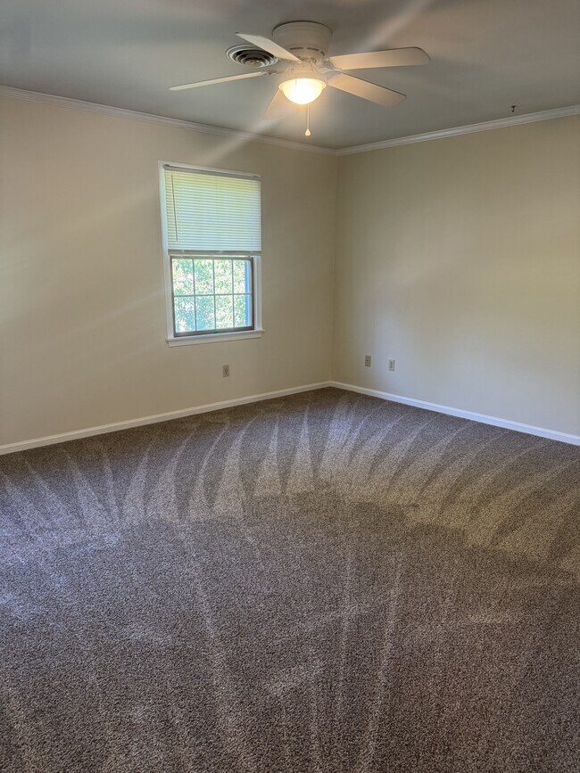Building Photo - 1017 Baccharis Dr