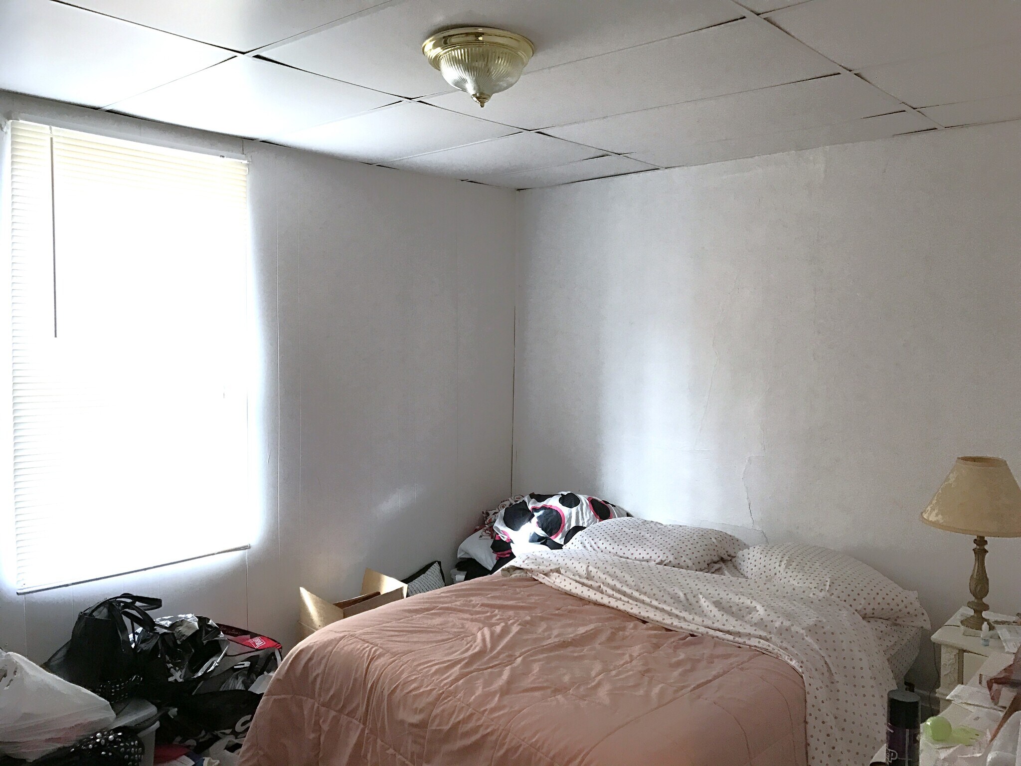 Building Photo - 141 E 20th Ave