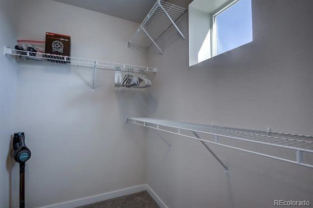 Building Photo - 6039 Abbey Hill Ln