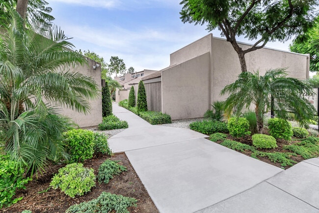 Building Photo - The Terrace Apartments