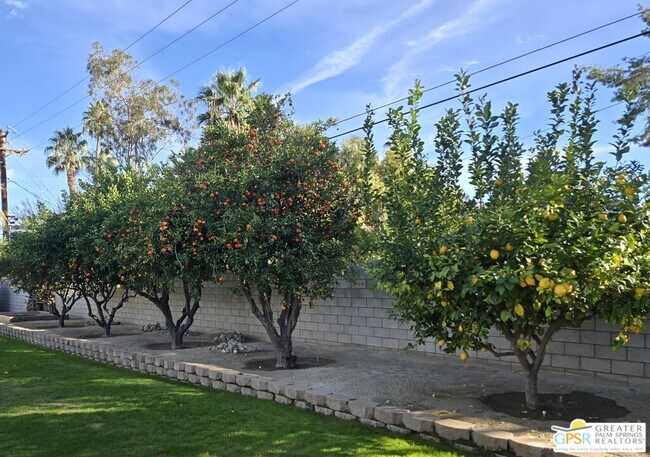 Building Photo - 74619 Fairway Dr