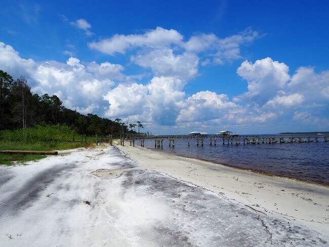 Building Photo - Dolphin watching from your own private beach!