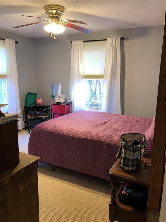 Building Photo - 161 Hines Rd