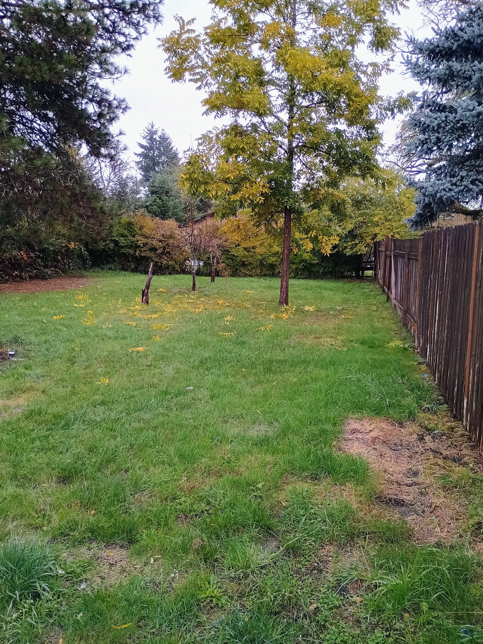 Building Photo - 642 Weed Ave