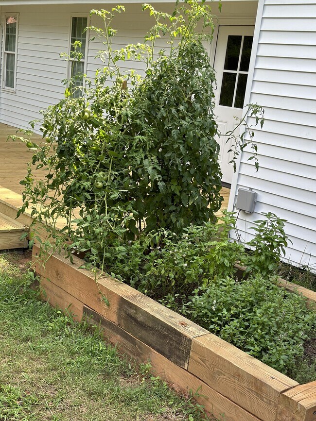 Building Photo - 109 Augusta St