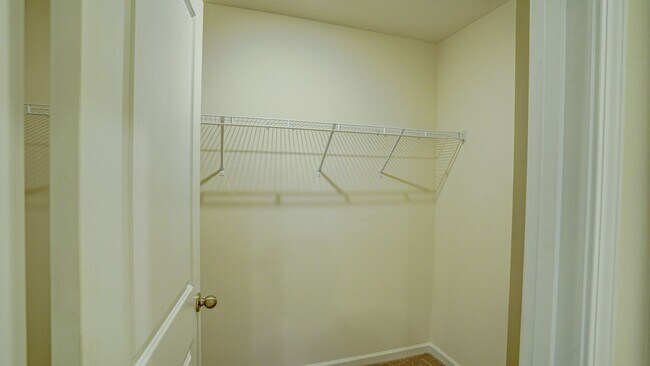 Building Photo - NEW NEW CONSTRUCTION - 5 BDRMS, 3 BTHS, NORTH JOHNSON CITY