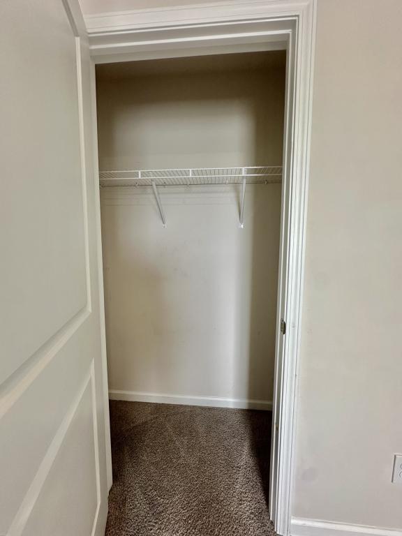 Building Photo - 1339 Mifflin Ln