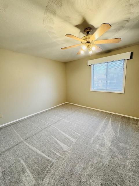 Building Photo - 2986 Newman Dr