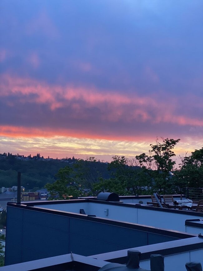 Building Photo - West Seattle/Pigeon Point Townhome