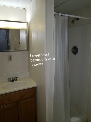 Lower level bath with shower - 1016 S Franklin St