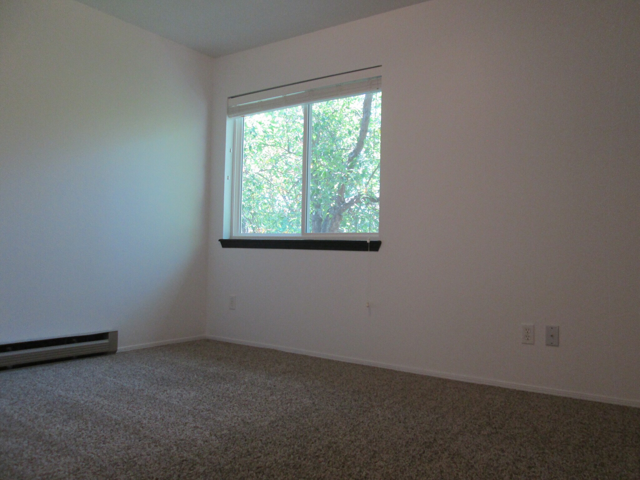 2nd Bed: Large with view of green space - 1440 Edora Rd