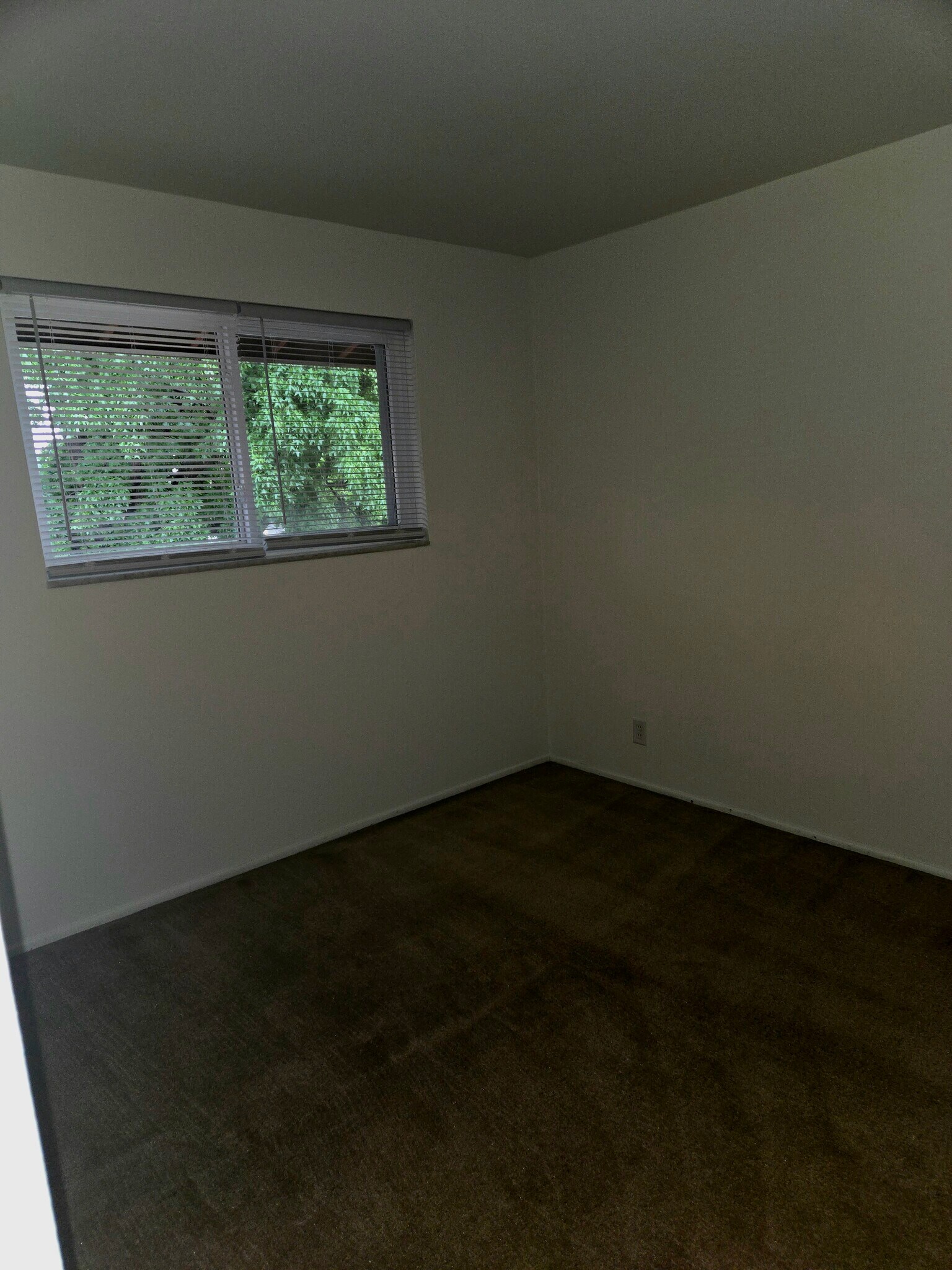 Building Photo - 4248 Lasata Dr