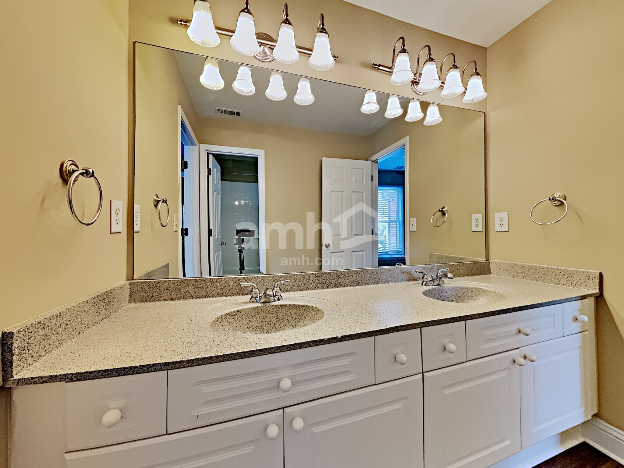 Building Photo - 1238 Wood Iris Ln