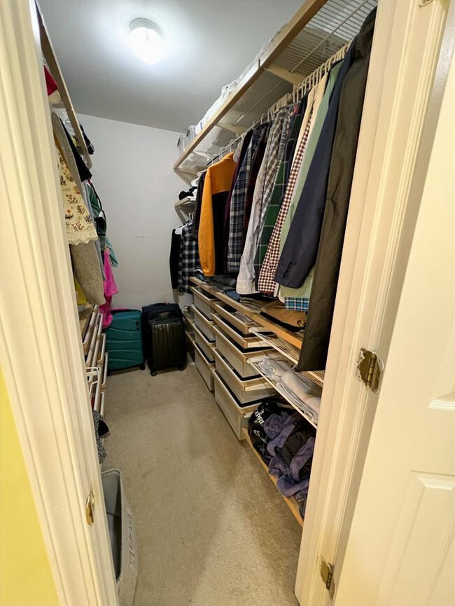 Building Photo - 2456 Rolling Plains Dr