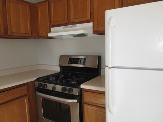 Building Photo - 557 E Shag Bark Ln