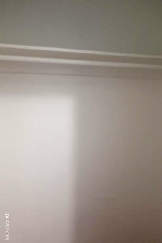 Building Photo - 1401 20th Ave