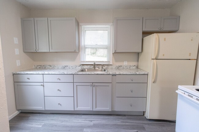 Building Photo - Remodeled 3 Bed 1 Bath Home