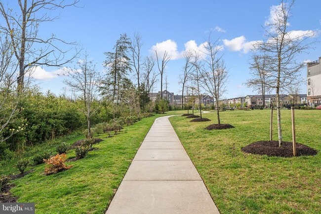 Building Photo - 44603 Wolfhound Sq