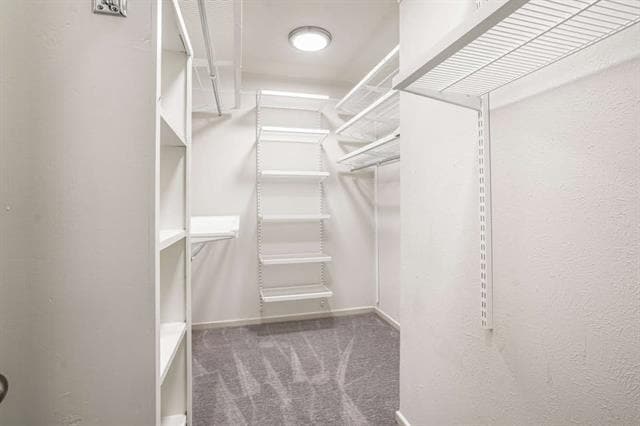 Building Photo - 7615 Woodthrush Dr