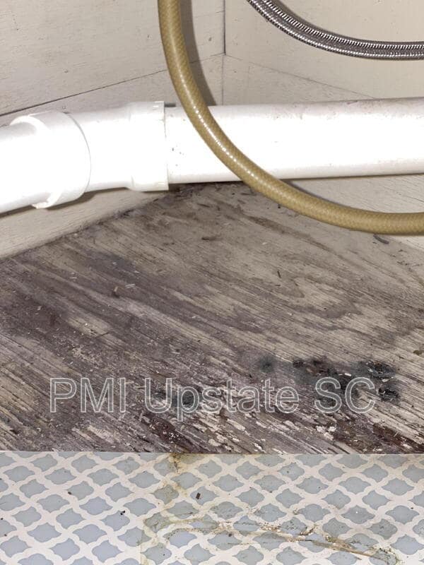 Building Photo - 181 N Fairview Ave