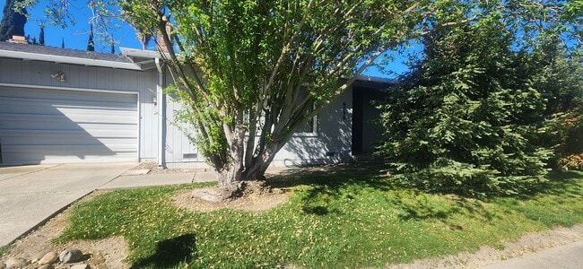 Building Photo - 8132001/37