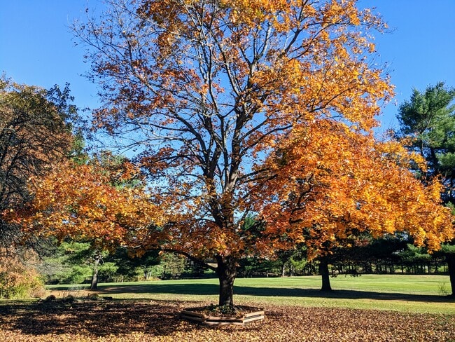 Building Photo - 18 Cricklewood Cir