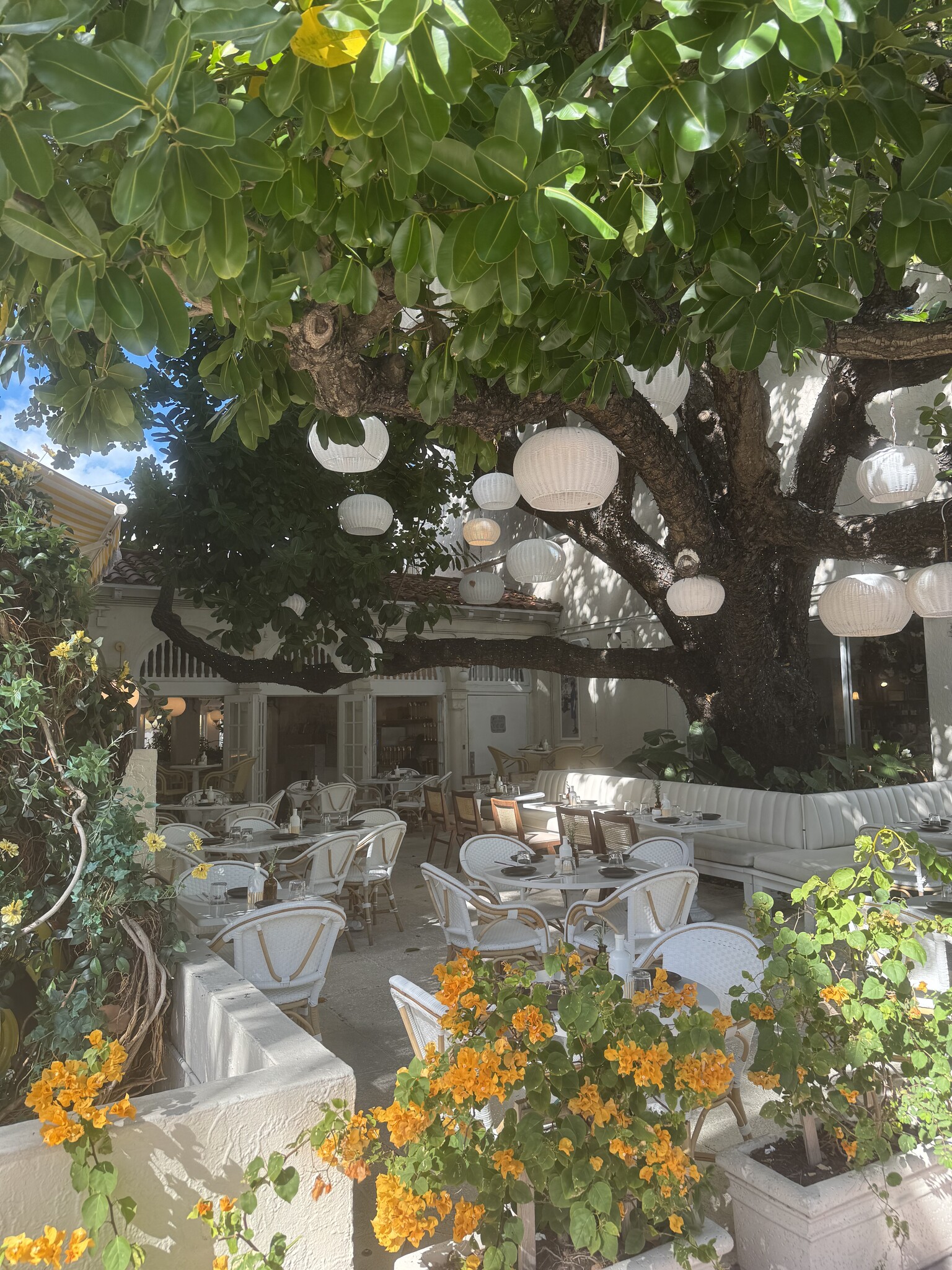 Building Photo - 220 Collins Ave