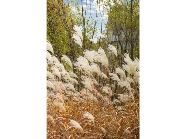 Building Photo - 8069 Enclave Bay