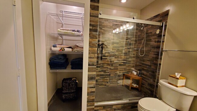 Master Shower and Linen Closet - 1010 Central Ave