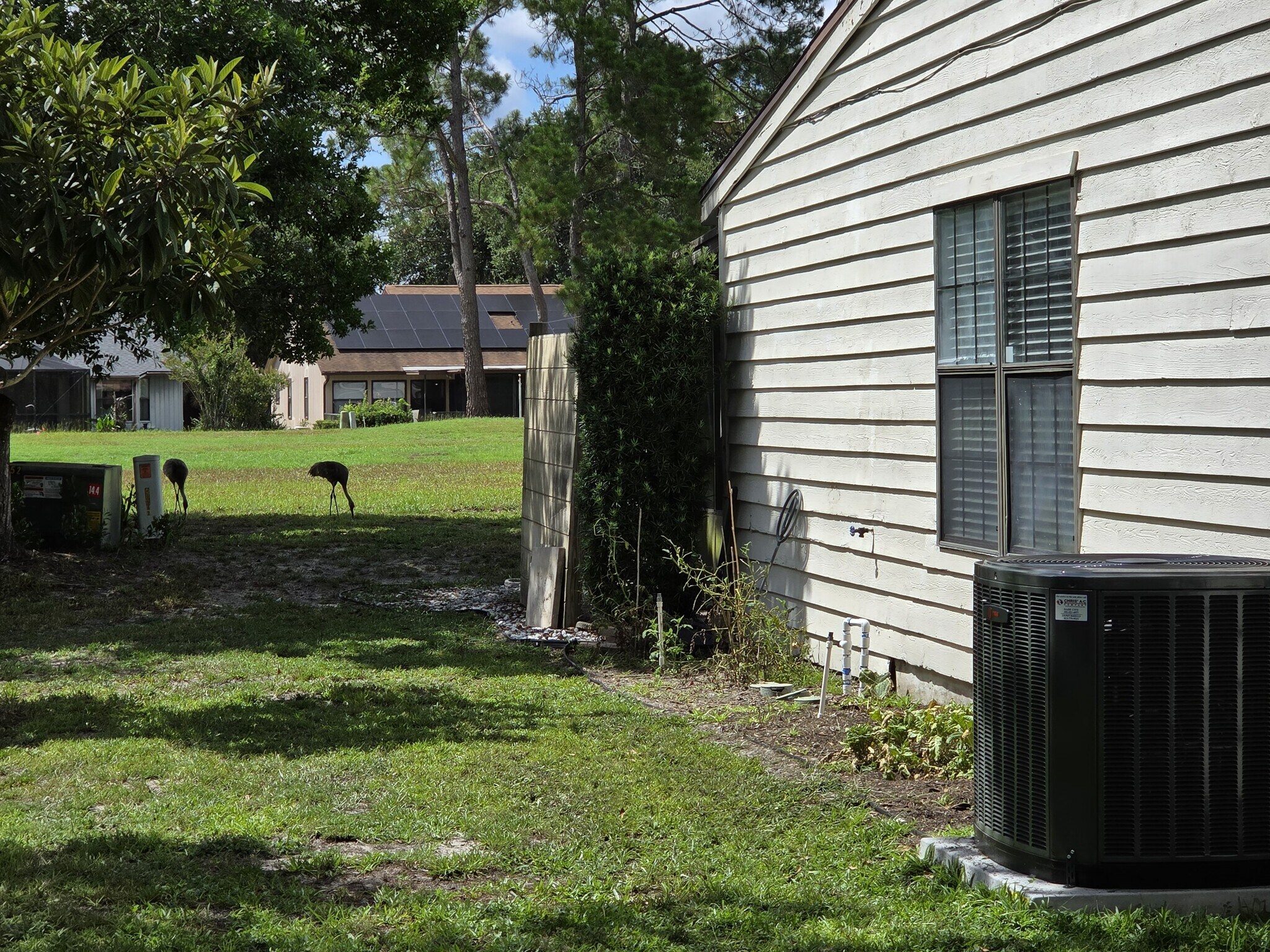 Nature is close by - 35086 Whispering Oaks Blvd