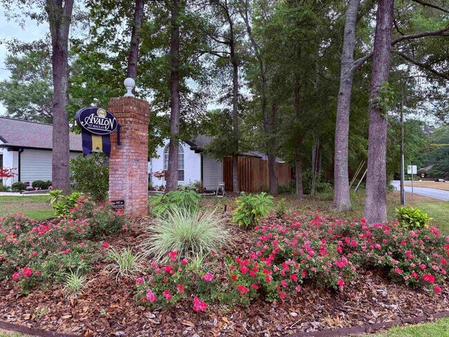 Building Photo - 1322 Hidden Timbers Pl