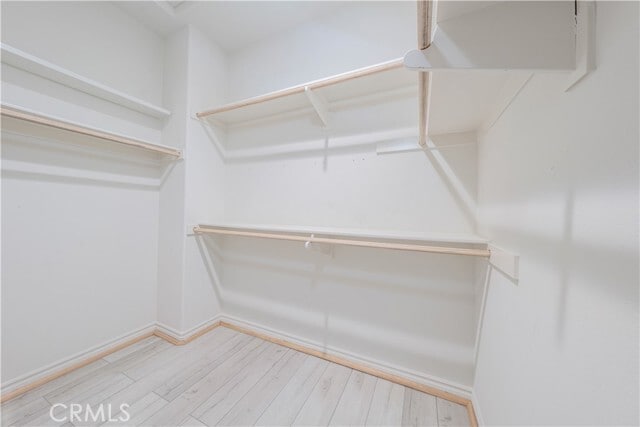 Building Photo - 1245 Oliva Ct