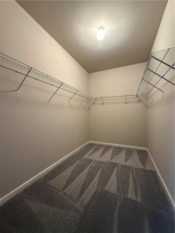 Building Photo - 4916 Briarcliff Dr