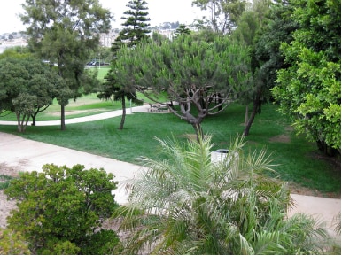 Park adjacent to patio. - 315 4th St