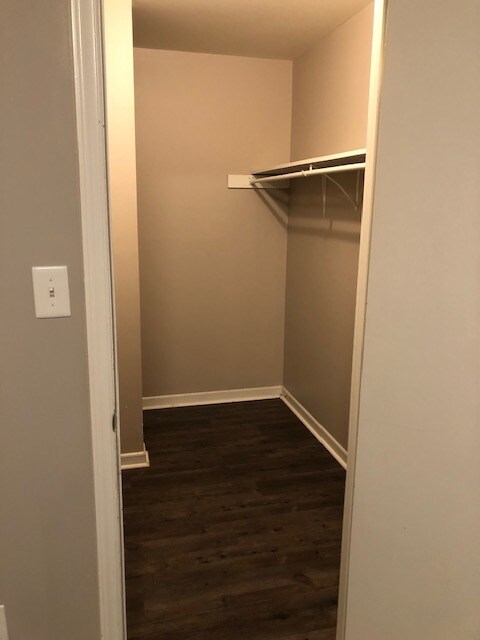 Building Photo - 3214 Starlight Dr