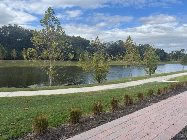 Building Photo - 4264 Campsite Lp