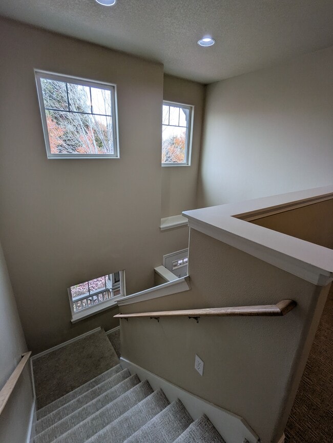 Building Photo - 20565 Sun Meadow Way