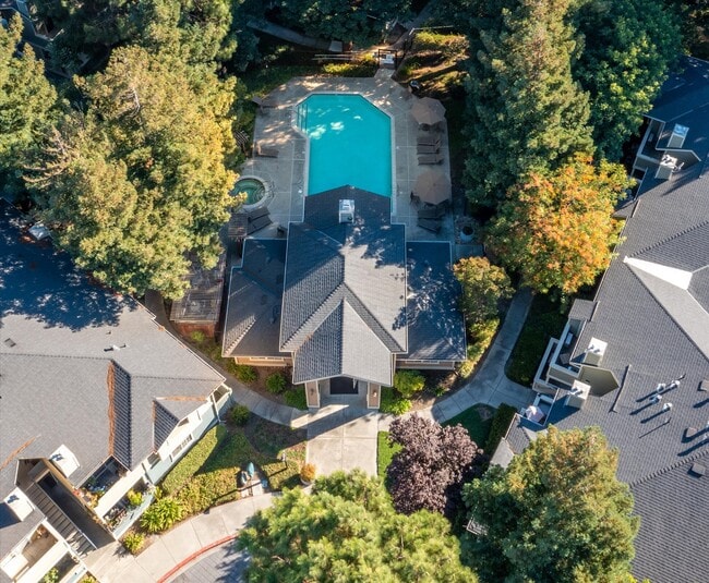 Building Photo - 2702 Somerset Park Cir