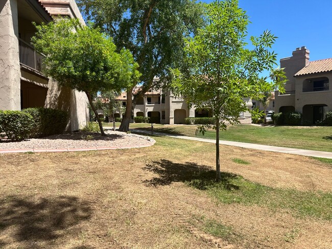 Building Photo - Condo In the Heart of Scottsdale