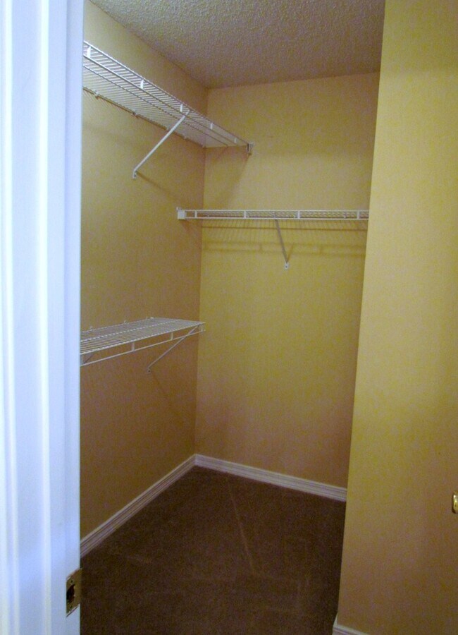 Building Photo - 4530 White Point Ct