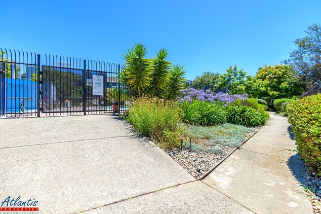 Building Photo - Live Oak Townhouse | Desirable Location