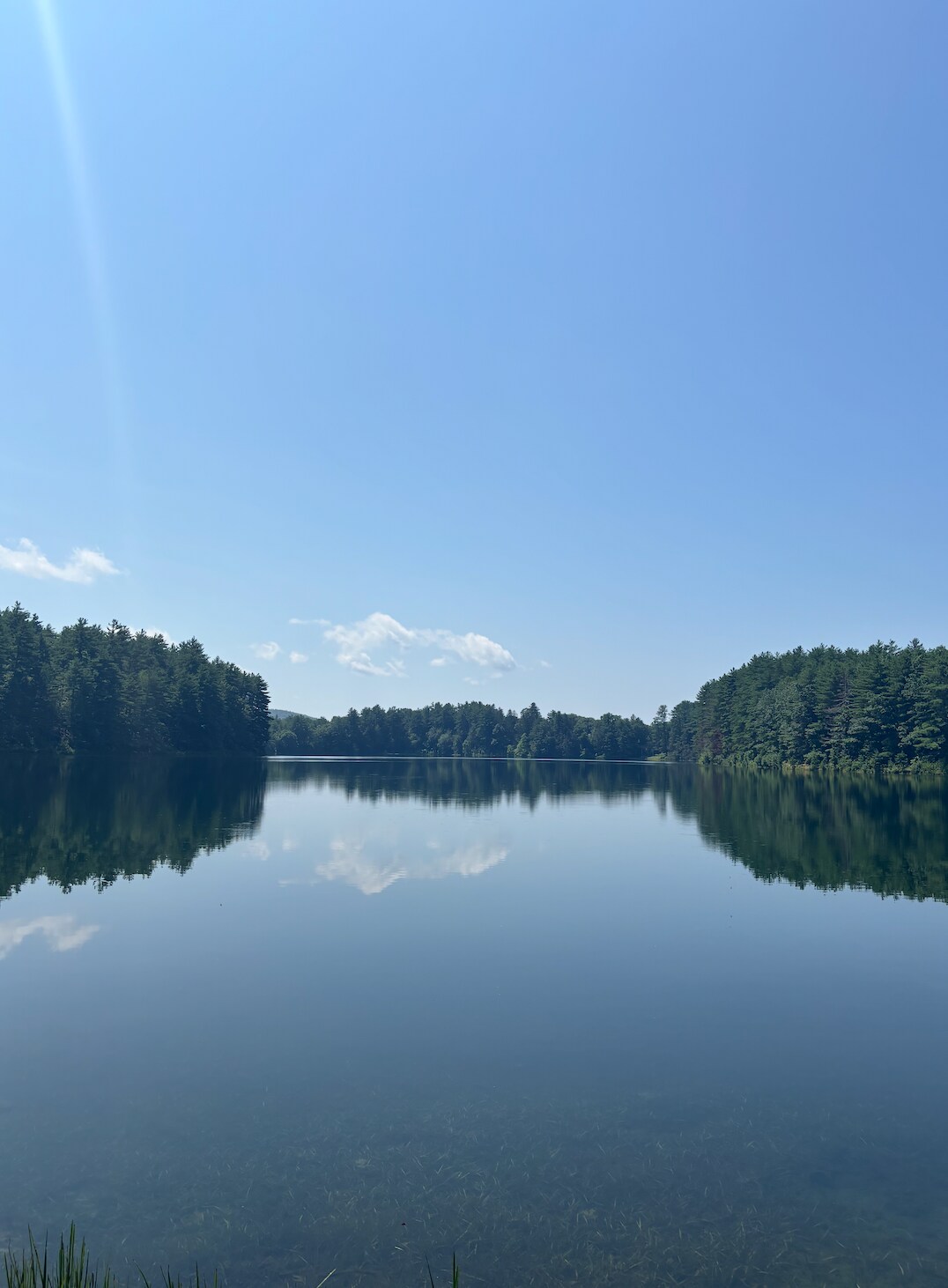 View of the lake - 3 Walcott St